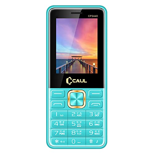 CAUL Dual sim Keypad Mobile Phone with Wireless FM Radio Memory Card Slot Battery 2750 Blue | CP2440BLUE