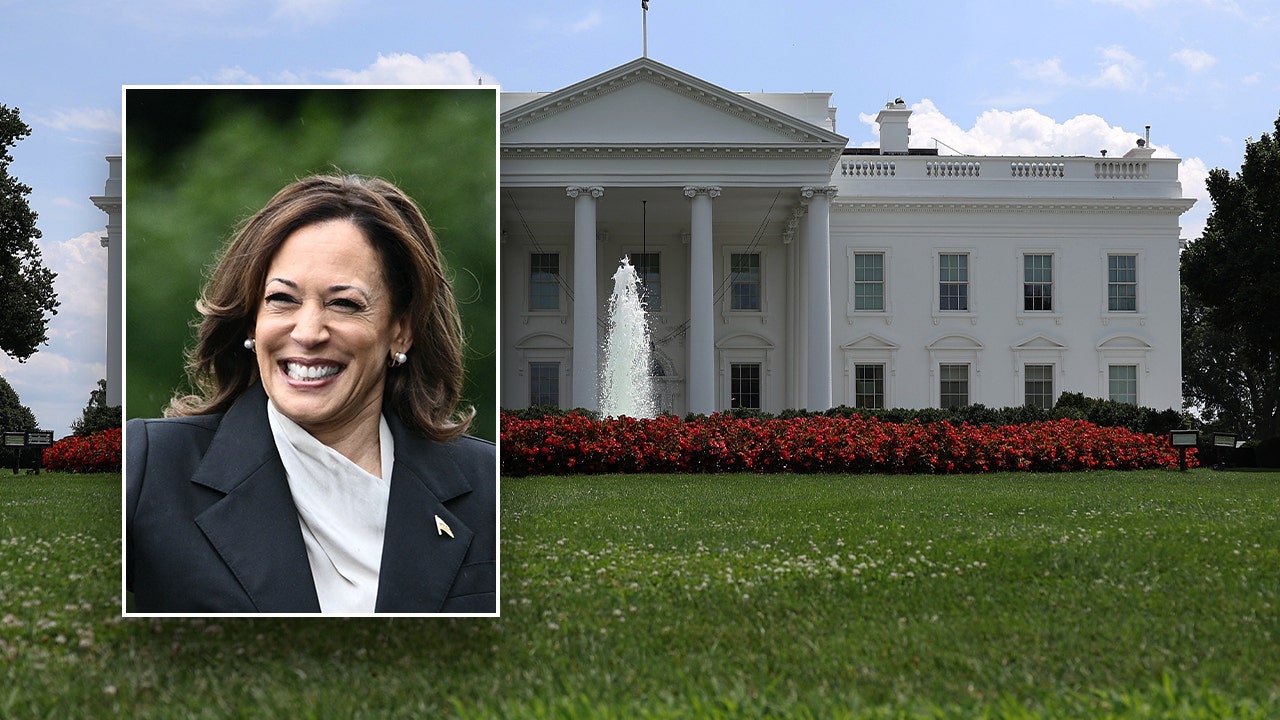 How U.S. Vice President Kamala Harris got started in politics PrTechNews