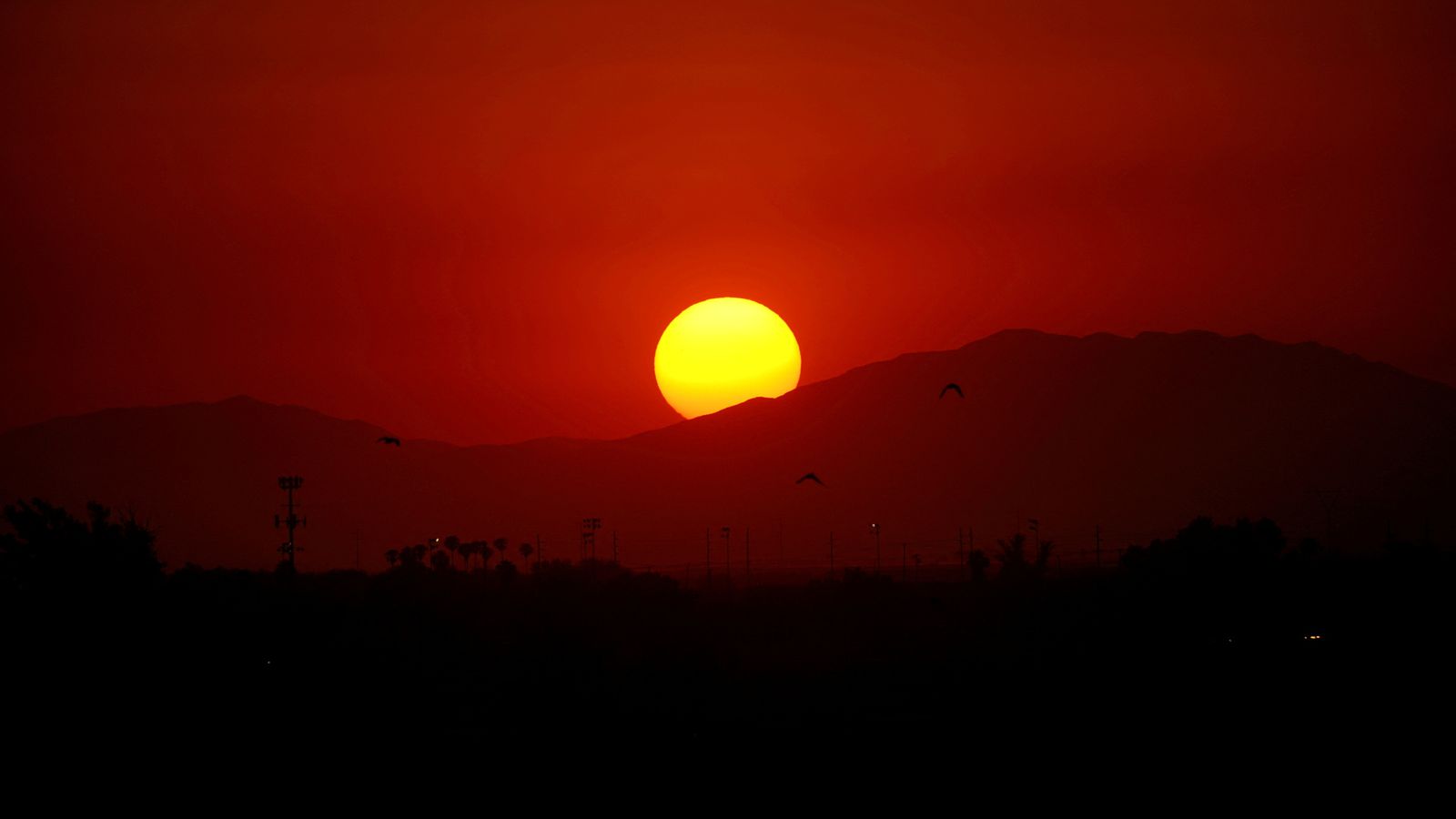 ‘Truly staggering’ World breaks hottest day record for second day in a